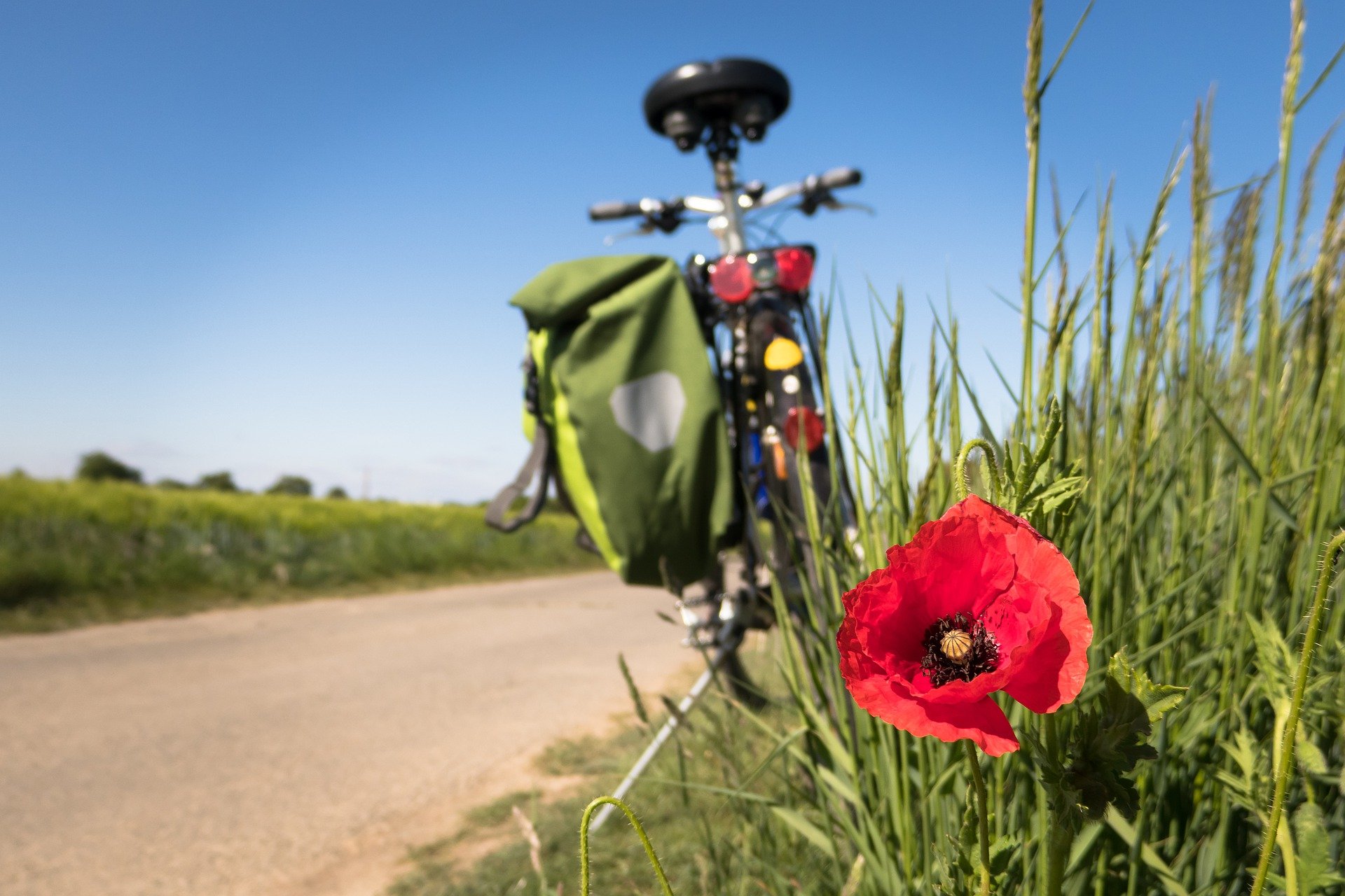Friesensee Fahrrad fahren in der Natur