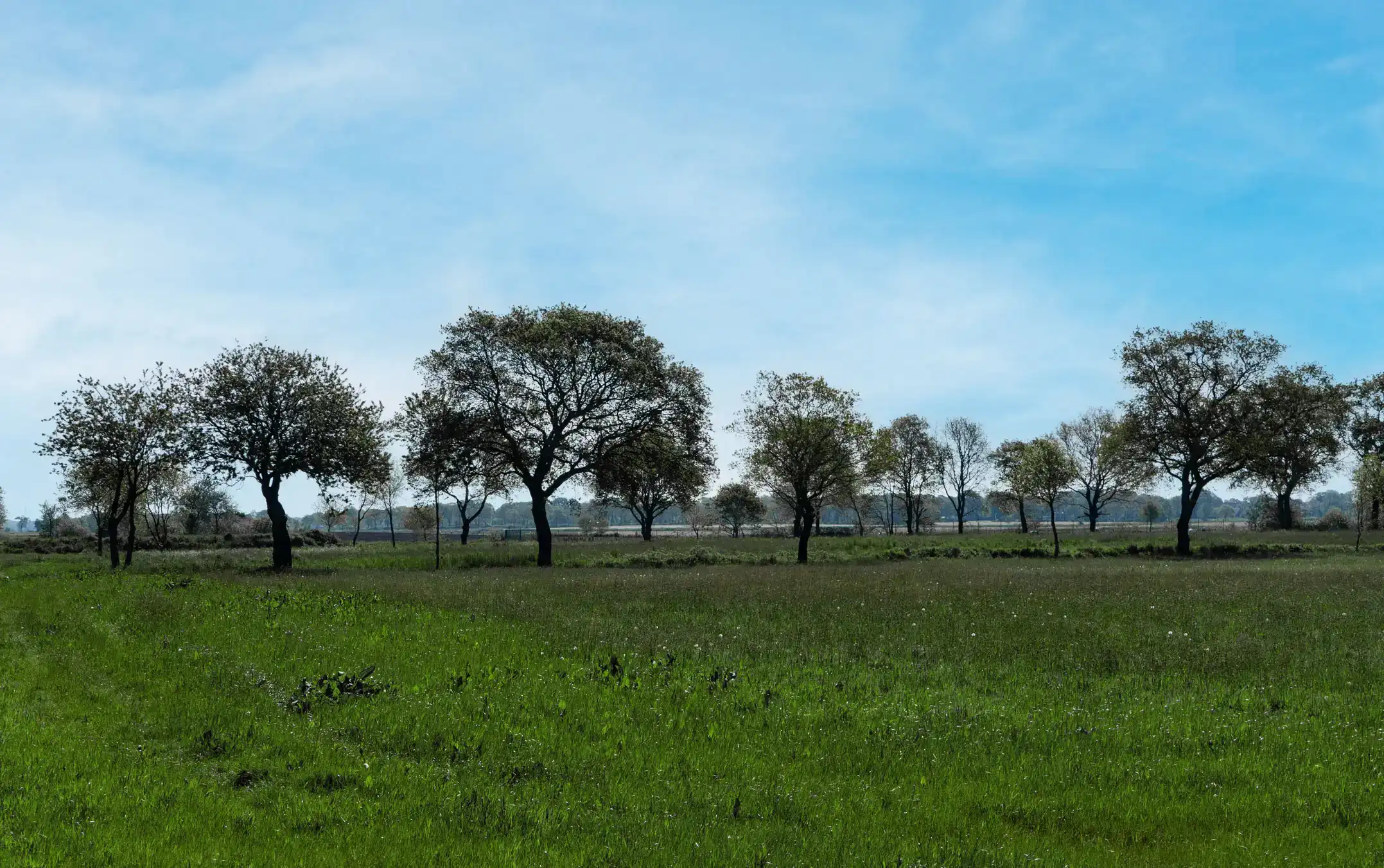 Ausblick Saisonplätze am Friesensee