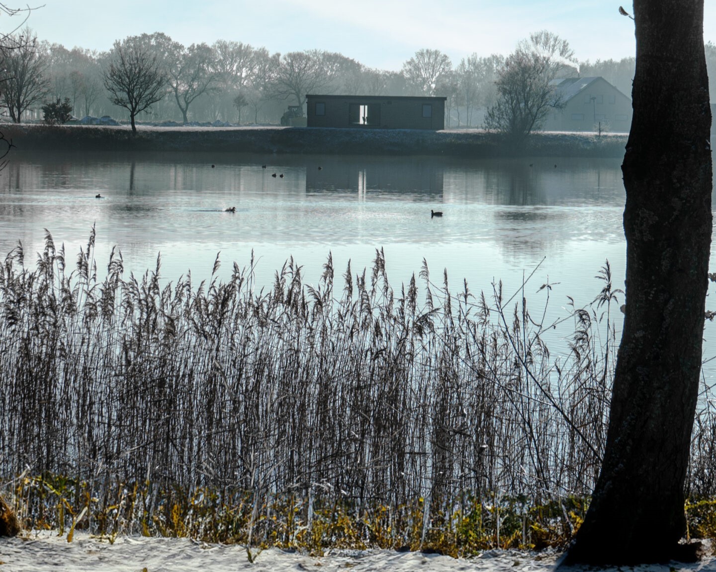 Friesensee Wintercamping Aussicht auf den See
