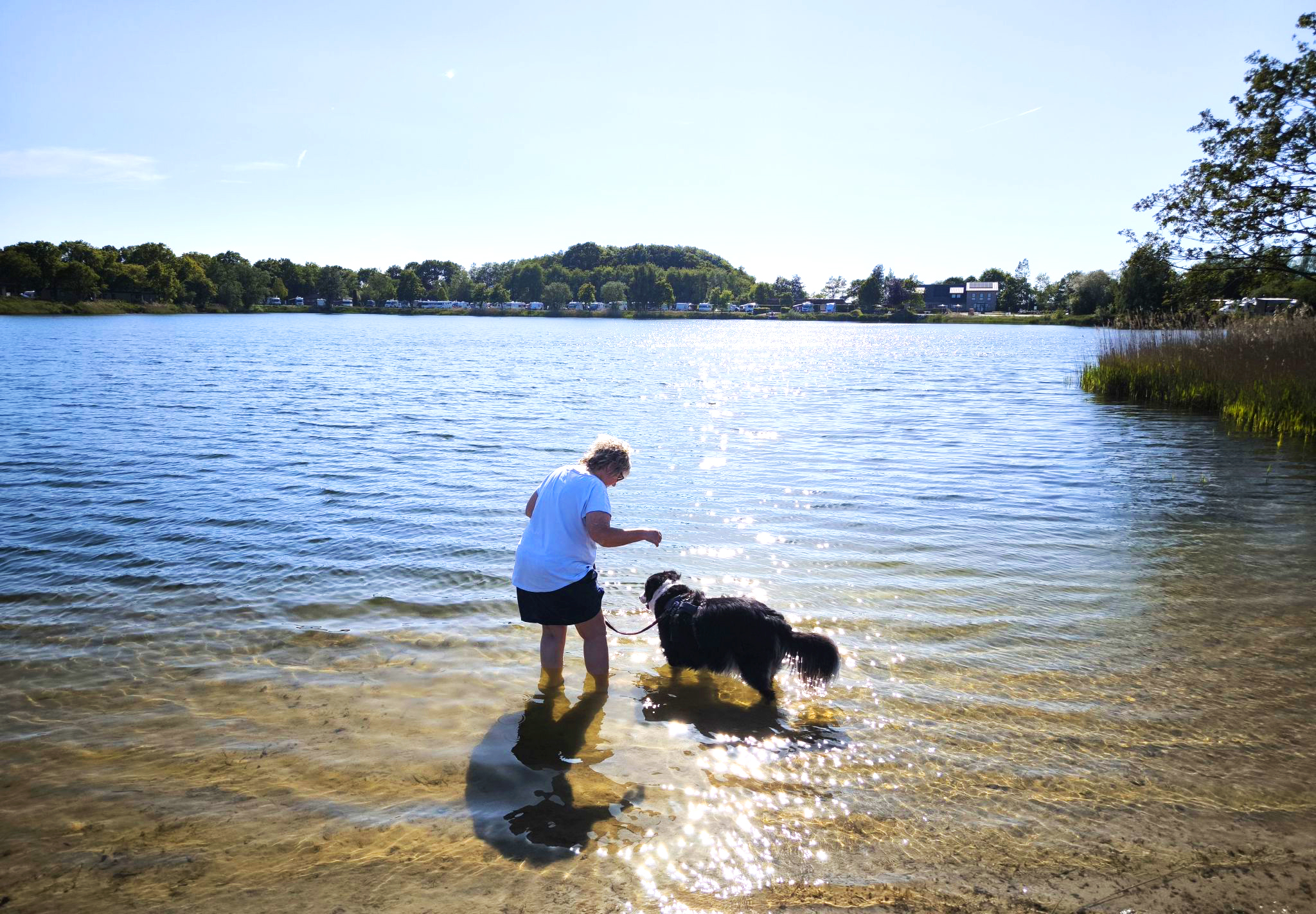 Friesensee_Besucher_mit_Hund_am_See
